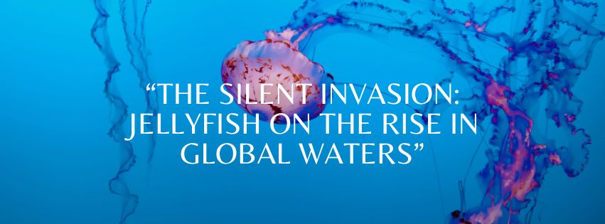 The Silent Invasion : Jellyfish on the Rise in Global Waters