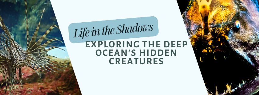 Deep Ocean Creatures : Exploring Life Where Light Fades