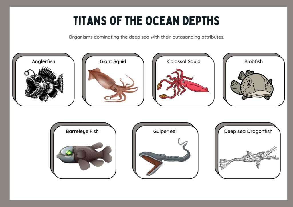 Deep ocean creatures include some fascinating organisms