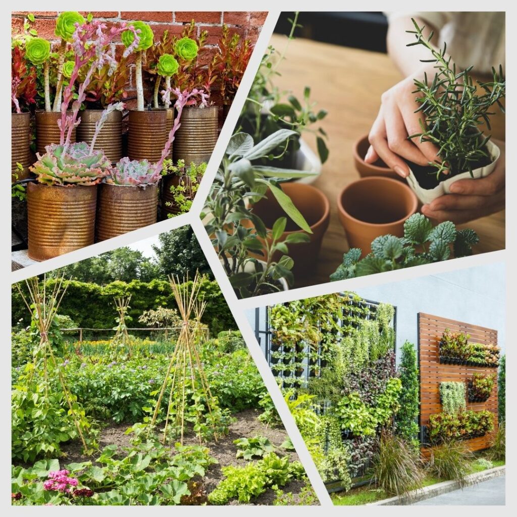 Growing your own food is healthier life may be physical or mental.