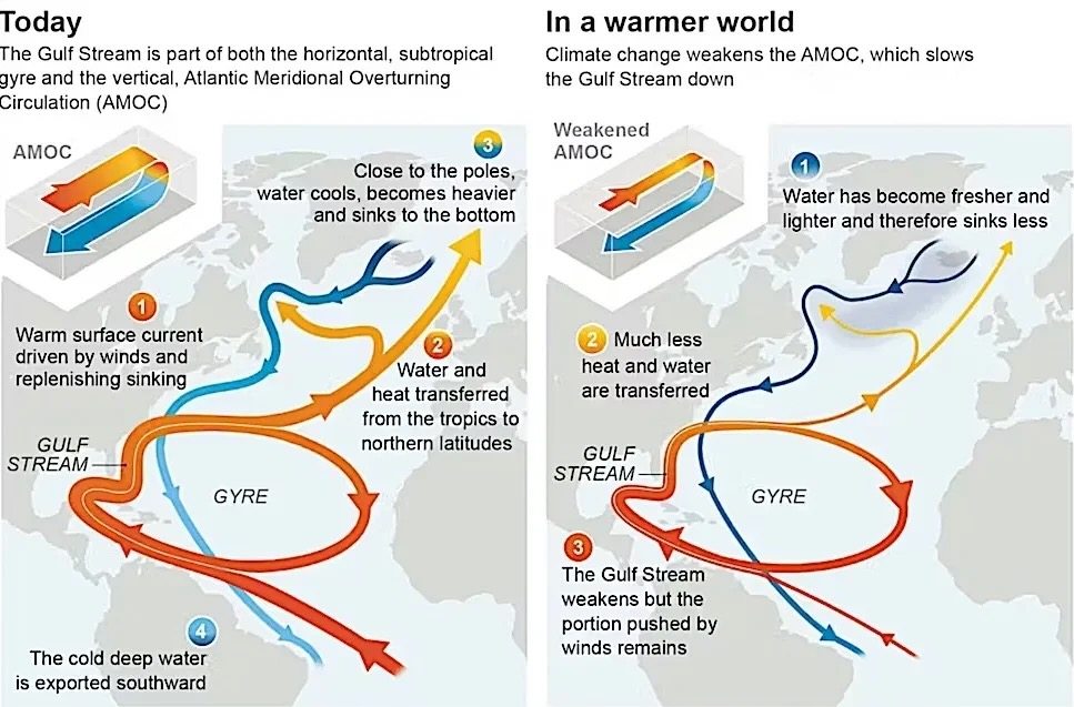 Slow AMOC changes overall water stream in Atlantic